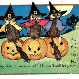 Sowy na Halloween w kostiumie czarownicy Jack-O-Lanterns Whitney Oryginalna pocztówka TK1-25