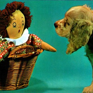 Raggedy Ann bambola con cucciolo di cane Cocker Spaniel cartolina originale PB6