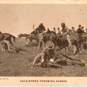 c1908 Spanisch-Amerikanischer Krieg Kavalleristen, die Pferde werfen Original Postkarte PD2