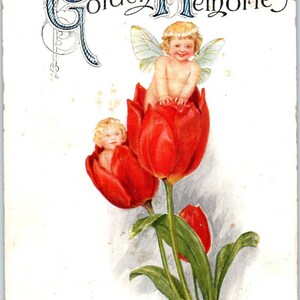 Feen Gesicht in Blume Tulpen Winsch Zurück 1917 Original Postkarte TK1-27