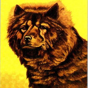 Lewis H. Larsen 1953 Obraz psa rasy chow chow Oryginalna pocztówka TK1-27-2