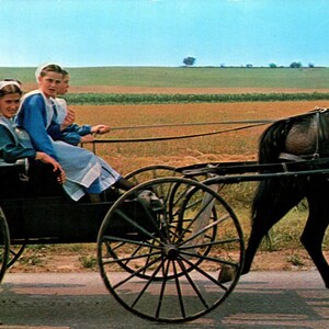 Carte postale vintage TG8 de filles amish en buggy après une réunion à l'église, PA néerlandaise