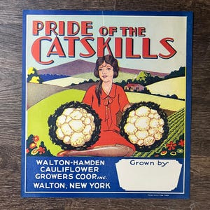 Etichetta originale del cavolfiore del 1920 Pride Of The Catskills Walton-Hamden NY 10x11 V6