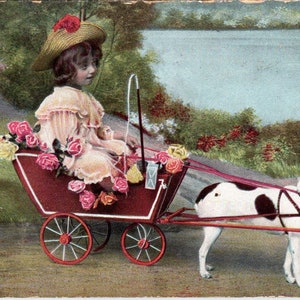 ポインター犬に引かれた荷車に乗ったビクトリア朝時代の少女 c1907 ポストカード PD2