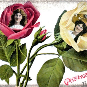 Geburtstags-Gesicht in Blumen-Rosen c1910 Original Postkarte TK1-27