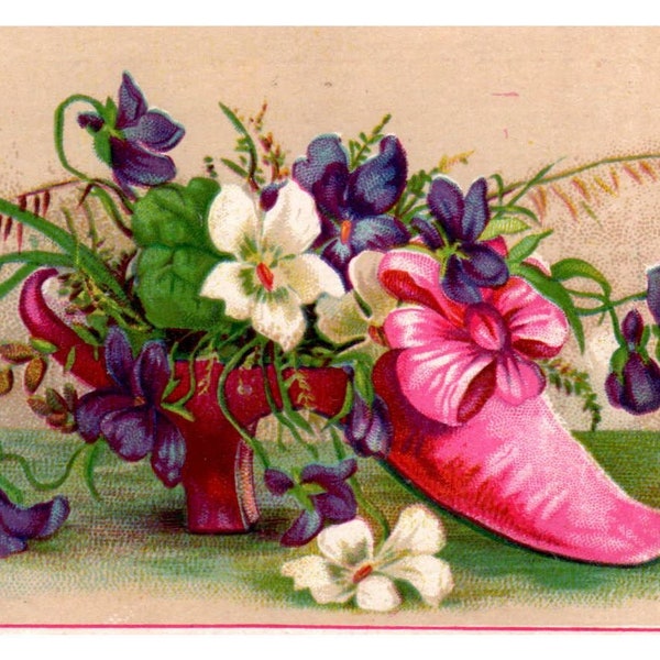 Gooch's Mexican Syrup Quack Medicine Show With Flowers - 1880s Trade Card TJ8-3