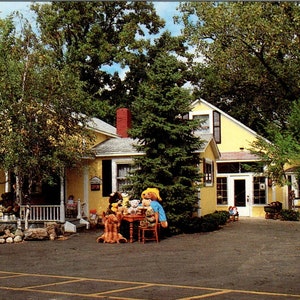La casa delle bambole di Shirley Wheeling Illinois Cartolina originale PB8