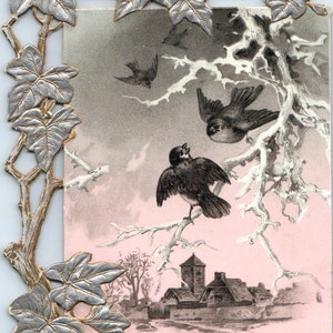 c1880 Premio vittoriano al merito Uccelli fustellati decorati e scuola AB9