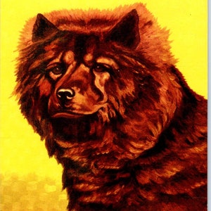 Lewis H. Larsen 1953 Obraz psa rasy chow chow Oryginalna pocztówka TK1-27