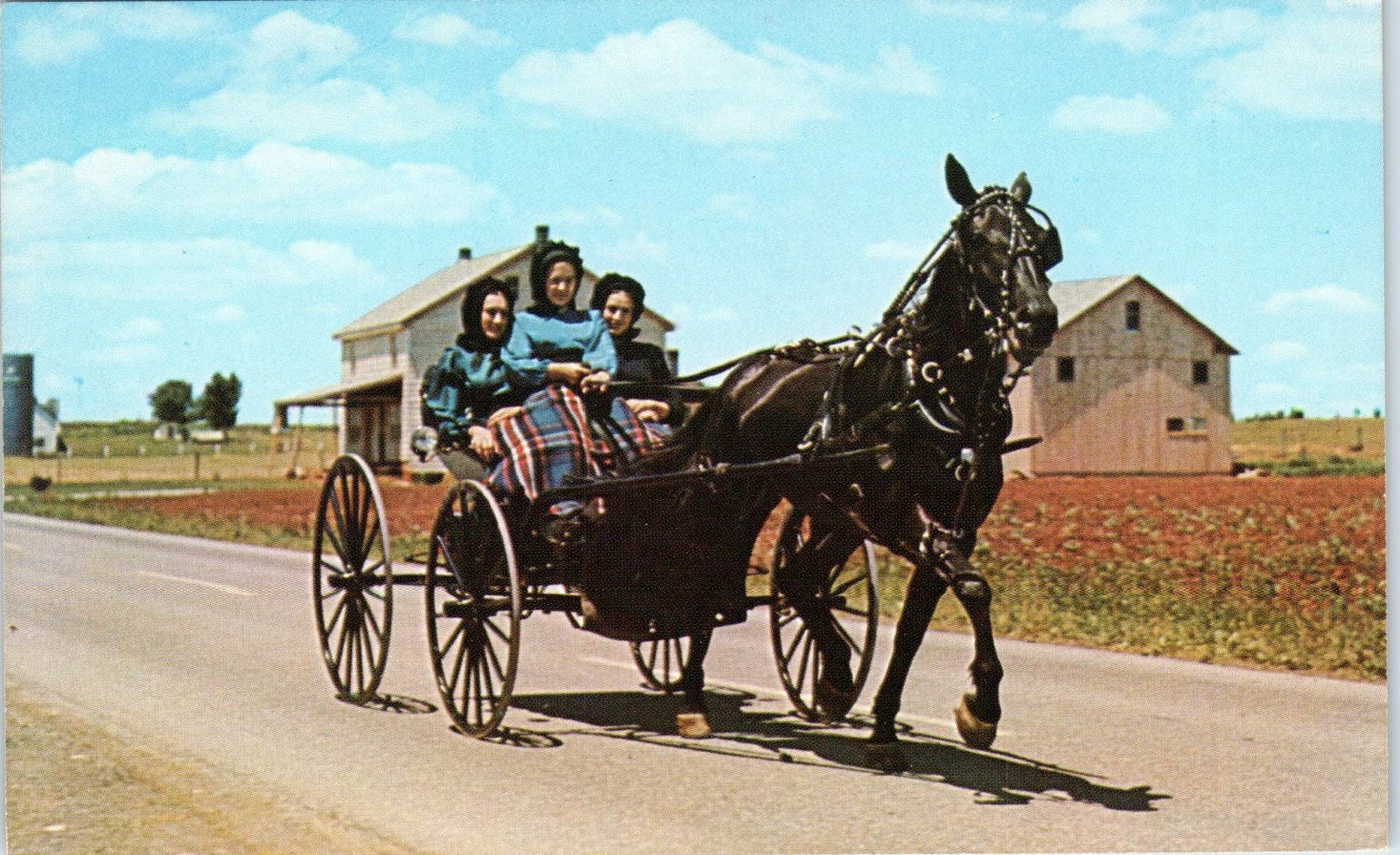 Amish Girls in Horse & Buggy After Sunday Church Pennsylvania Dutch Country TG8