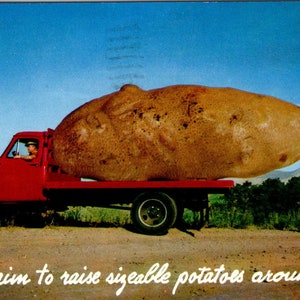 Riesenkartoffel im LKW Humor 1963 Original Postkarte PB1