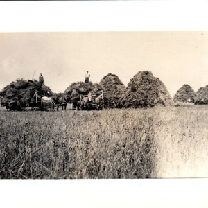 農場で馬車で干し草を運ぶ二人 c1910 RPPC ポストカード AB9