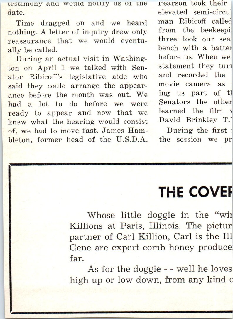 Walter T. Kelley Italian Queen Bees Clarkson KY 1964 Magazine Ad AB6LB