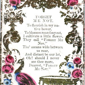 Carte de vœux victorienne myosotis des années 1880, roses paon en relief AE6-SF1