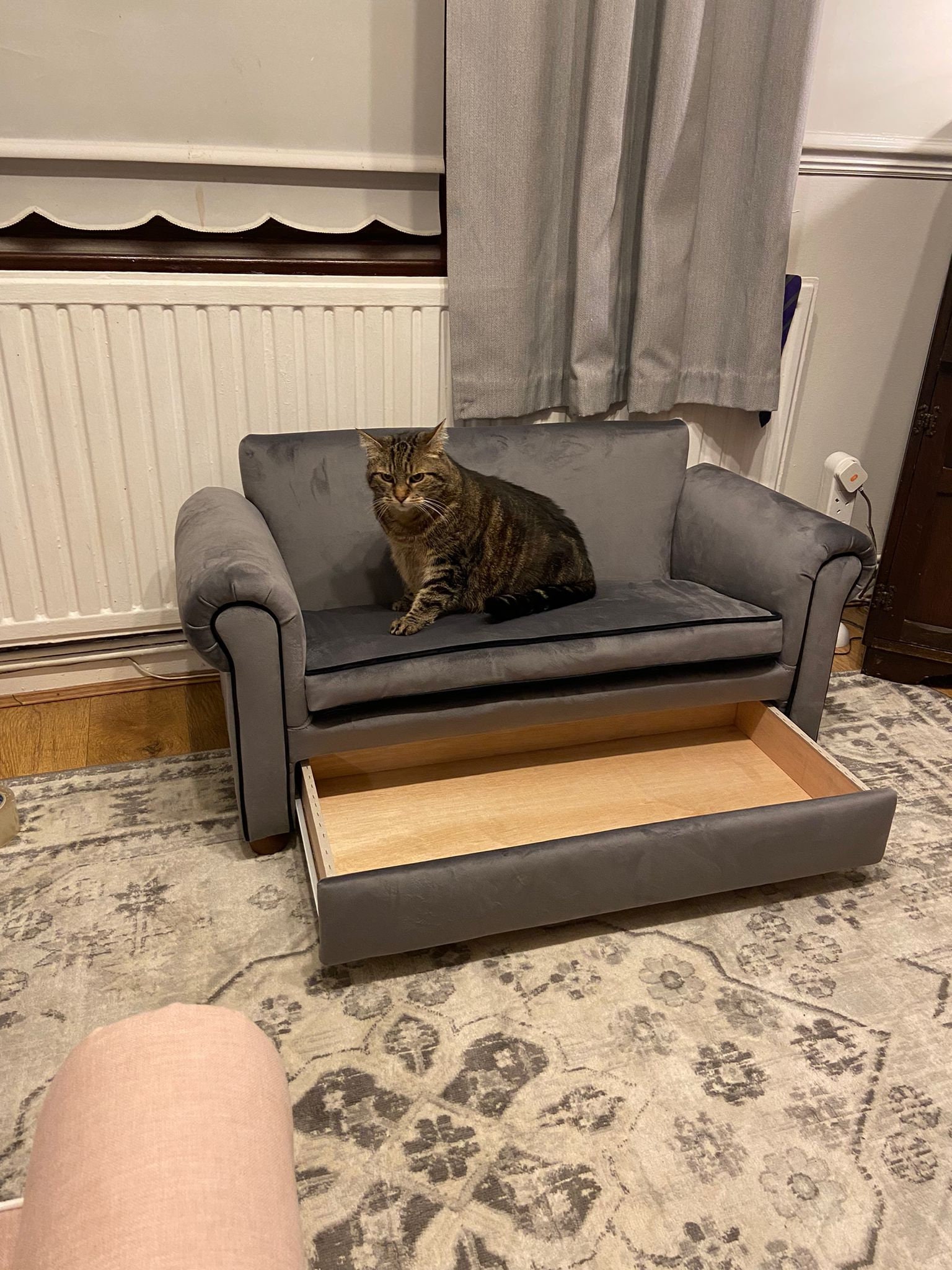 how-to-keep-cats-off-furniture-cat-checkup-atelier-yuwa-ciao-jp