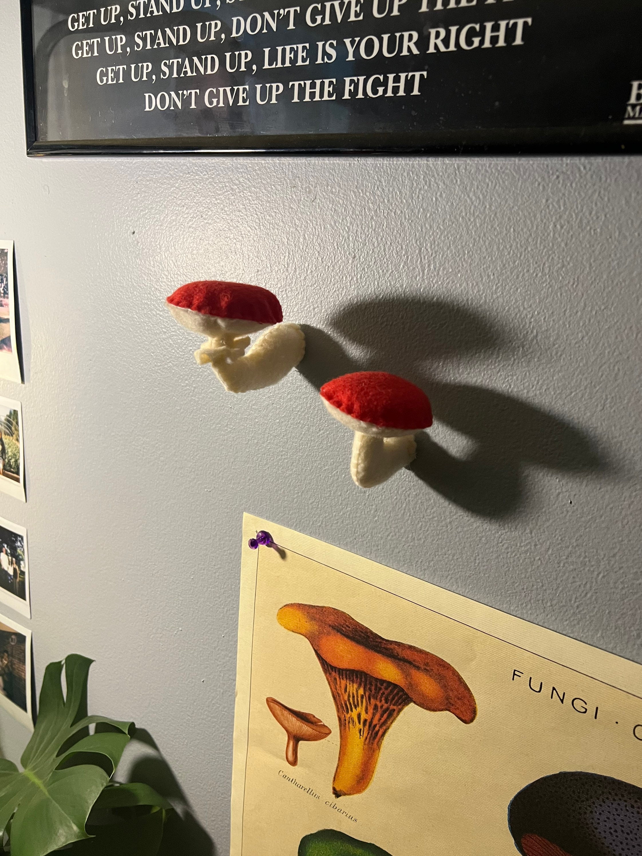 Mushroom Wall Hangers Etsy