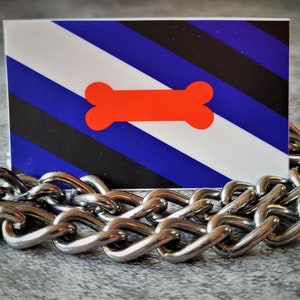 May include: A blue, black, and white striped flag with a red bone shape in the center. The flag is lying on top of a silver chain.