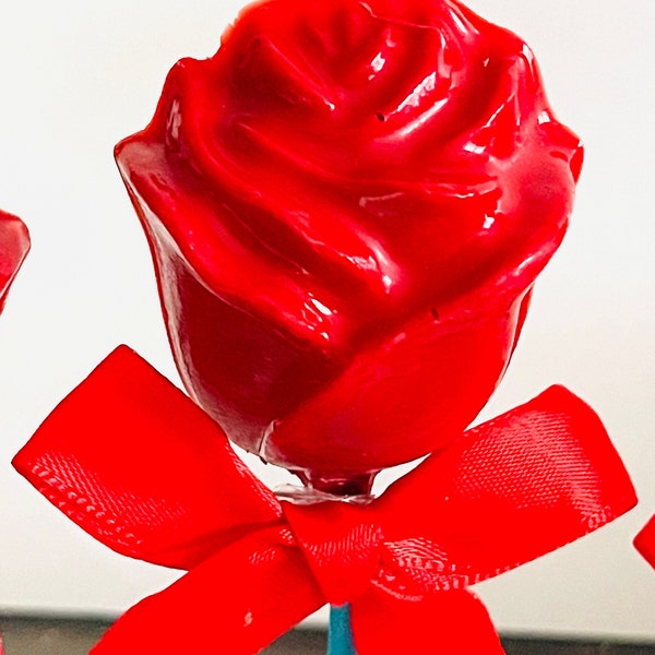 10 Chocolate Rose lollipop/chocolate for kids/chocolate rosesValentines gift/chocolate favors/sweet treats