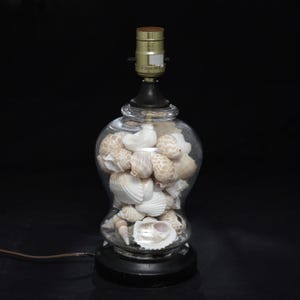 May include: A table lamp with a clear glass base filled with various white and tan seashells. The lamp features a black circular base, a dark metal neck, and a brass-colored light bulb socket at the top, with a brown electrical cord extending outward.