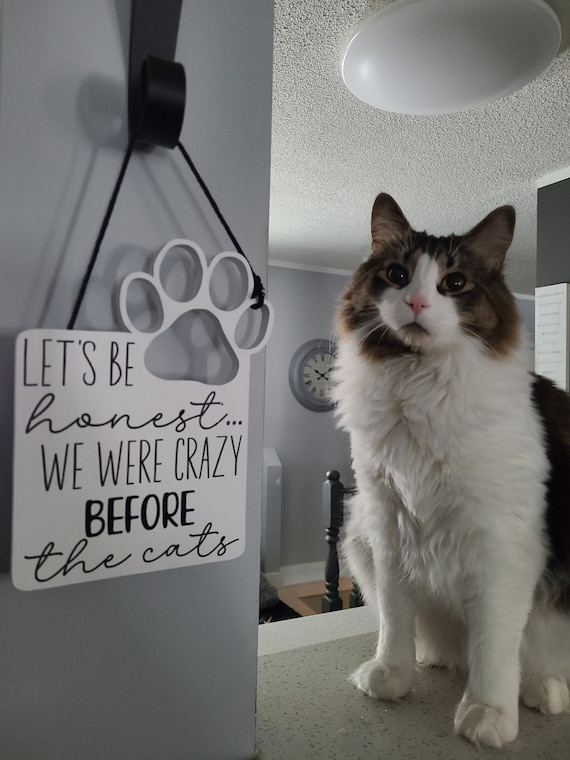 Hanging Wood Cat Sign, Let's Be Honest, I Was Crazy Before the