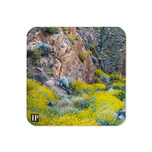 Desert Cork Coaster Set, wasserdichtes Barwagenzubehör, Getränke- und Barware Wohnkultur Kalifornien Wildblumen Fotografie Einweihungsparty Geschenk