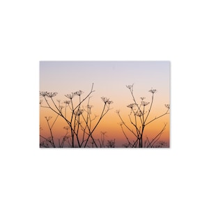 Kalifornische Küste Grußkarte Set mit 2, 4, 6, 8, 10, Landschafts Klappkarte, Briefpapier Geschenke, Sonnenuntergang Fotografie, Umschlag inklusive