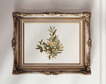 Vintage Chamomile Botanical Print: Rustic French Country Wall Art (Digital Download)