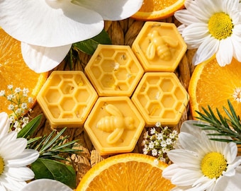 Orange Bergamot Botanical Wax Melts – Citrus Scent – Coconut & Beeswax Blend – Highly Scented Home Fragrance