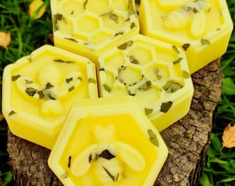 Citronella Wax Melts – Coconut Beeswax Botanical Blend – Fresh Clean Home Scent