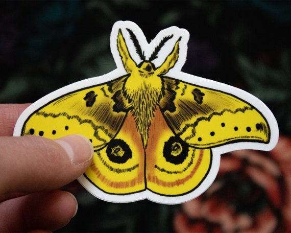 Sticker: IO Moth