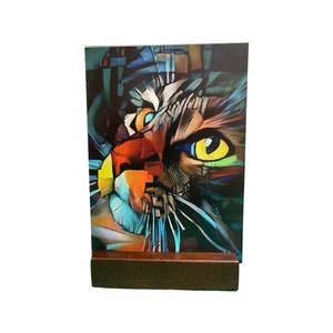 Colorful kitten on acrylic