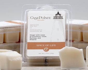 Spice of Life Soy Wax Melt | Natural Scented Wax Melt | Wax Melt Gift | Beach Wax Melt | Wax Tart
