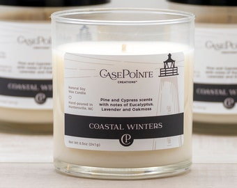 Coastal Winters Soy Wax Candle | Container Candle | Natural Scented Candle | Candle Gift | Beach Candle