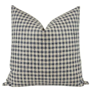 May include: A blue and white gingham pillow cover. The pillow cover is made of a soft, woven fabric and has a square shape.