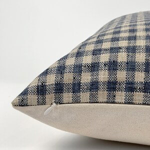 May include: A blue and white gingham pillow cover with a zipper closure. The pillow cover is made of a soft, woven fabric.