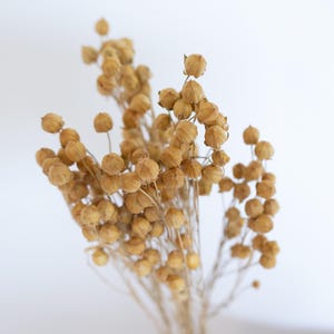 May include: A handmade, wooden serving tray with a natural finish. The tray features a rectangular shape with raised edges and two handles. The wood grain is visible, and the tray appears sturdy. Dimensions are approximately 18 inches long and 12 inches wide.