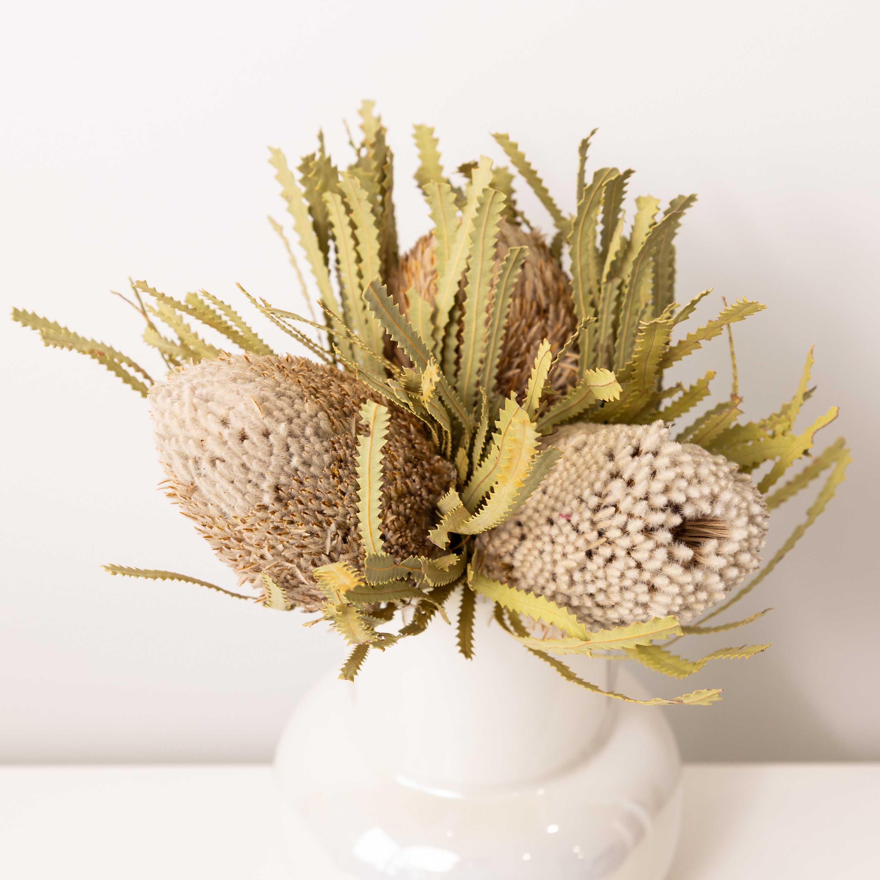 Dried Banksias, Australia native flowers, everlasting floral, home decor, vase filler, diy gift for her