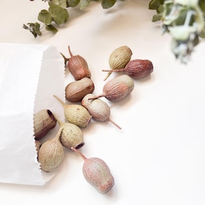 Craft Box met gedroogde kauwgomnoten: doe-het-zelf bruiloftsconfetti