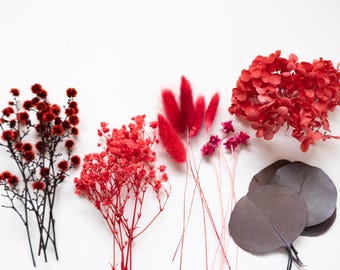 Kit de flores secas rojas, mezcla romántica de hortensias y paniculata, artículos para manualidades de San Valentín.