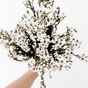 A bunch of dried daisy grass flowers, natural dried flowers, home decor, diy floral design, vase filler