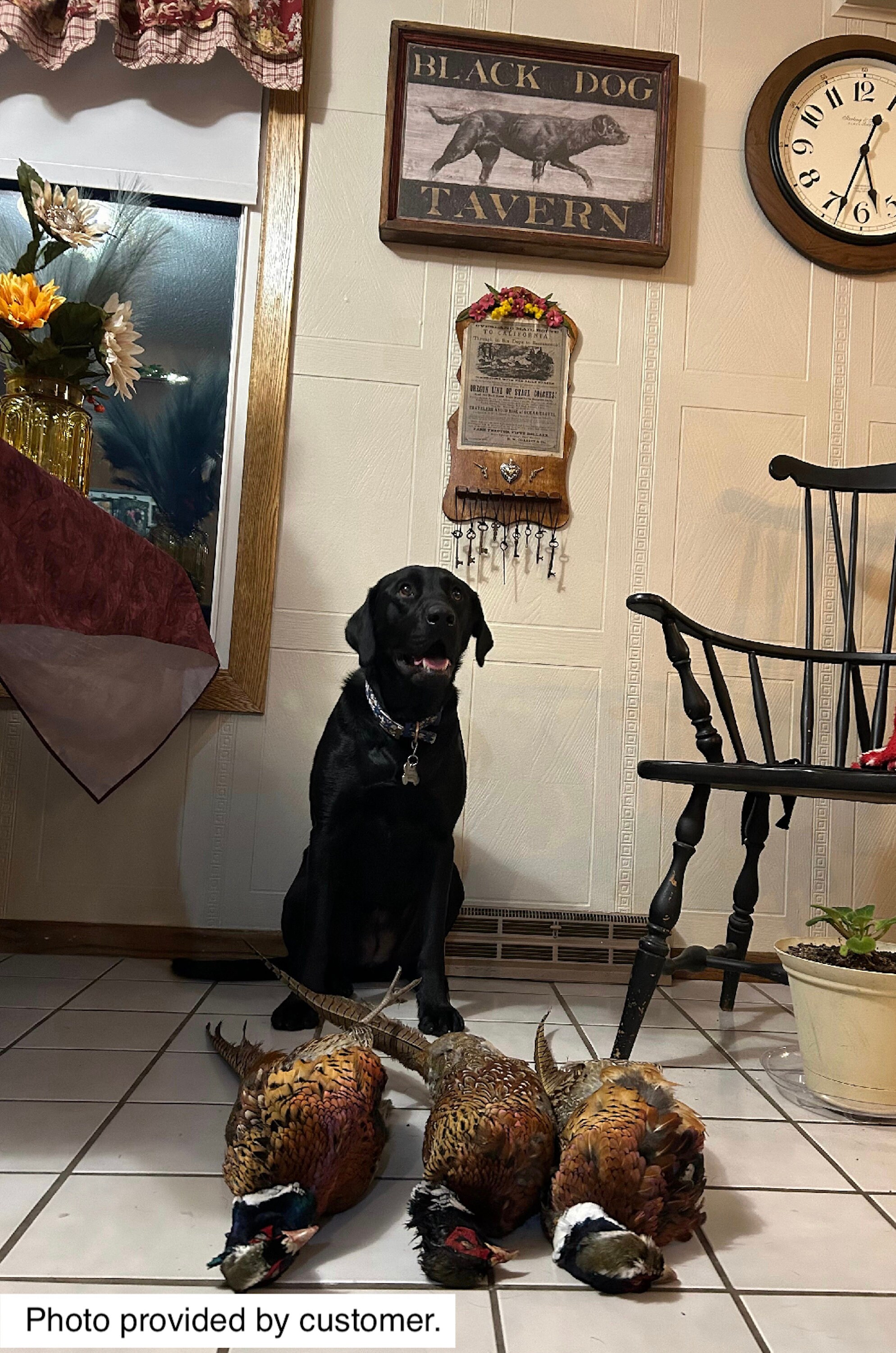 Black Dog Tavern Sign Etsy