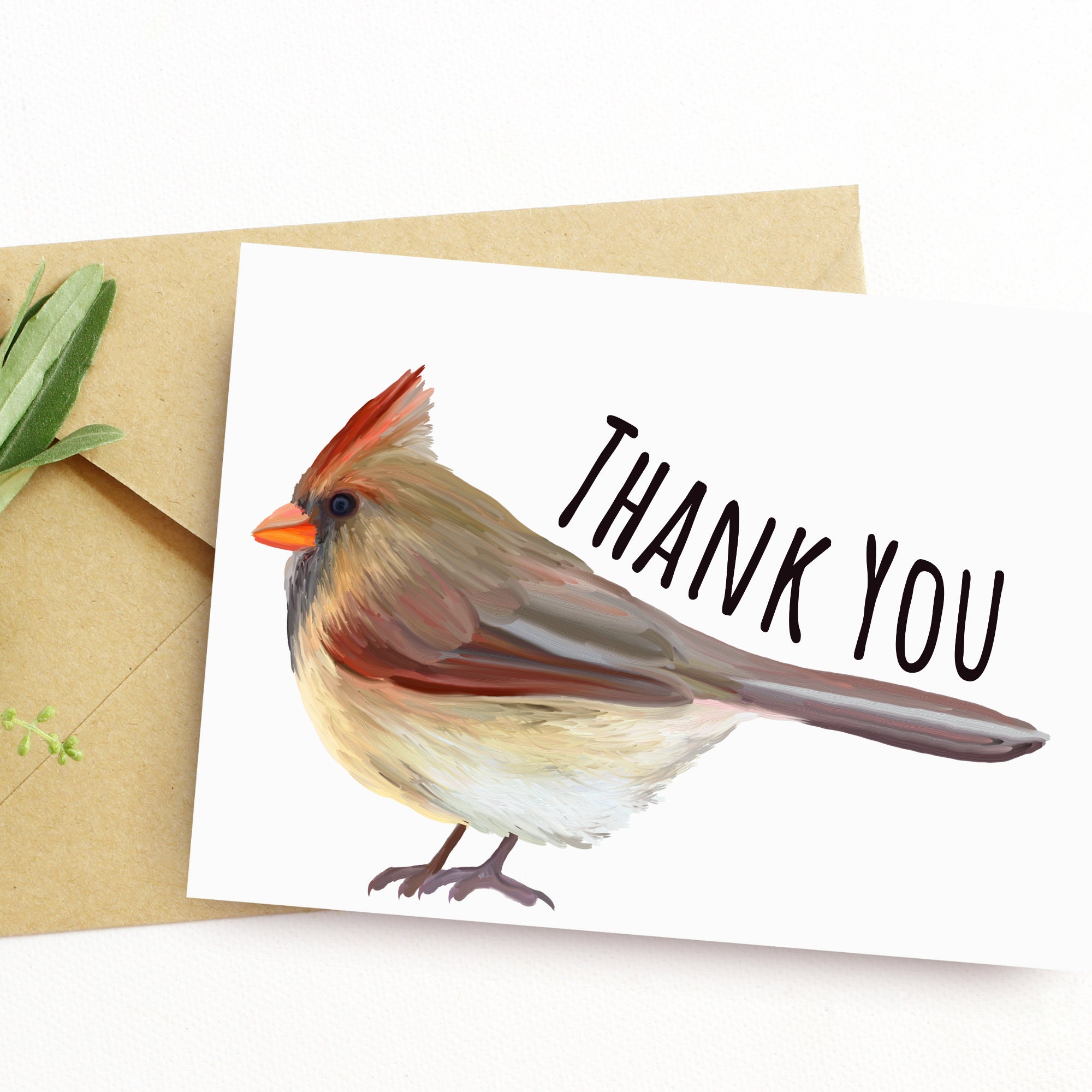 Printable Female Cardinal Thank You Card Postcard Greeting Etsy