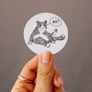 May include: A round sticker featuring a cartoon cat in a relaxed pose, with gray and white stripes. The cat has a thought bubble that says "WHAT?" in black text. The sticker is held by a hand.