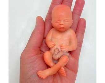 MADE TO ORDER 14 Week Gestation Fetus, Stage of Fetal Development (Memorial/Honor Sculpture - Baby Loss, Miscarriage, Keepsake)