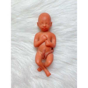 MADE TO ORDER 15 Week Gestation Fetus, Stage of Fetal Development (Memorial/Honor Sculpture - Baby Loss, Miscarriage, Keepsake)
