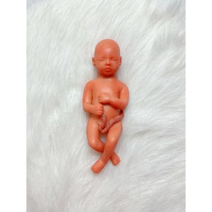 MADE TO ORDER 15 Week Gestation Fetus, Stage of Fetal Development (Memorial/Honor Sculpture - Baby Loss, Miscarriage, Keepsake)