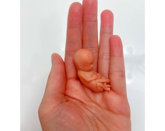 MADE TO ORDER 11 Week Gestation Fetus, Stage of Fetal Development (Memorial/Honor Sculpture - Baby Loss, Miscarriage, Keepsake)