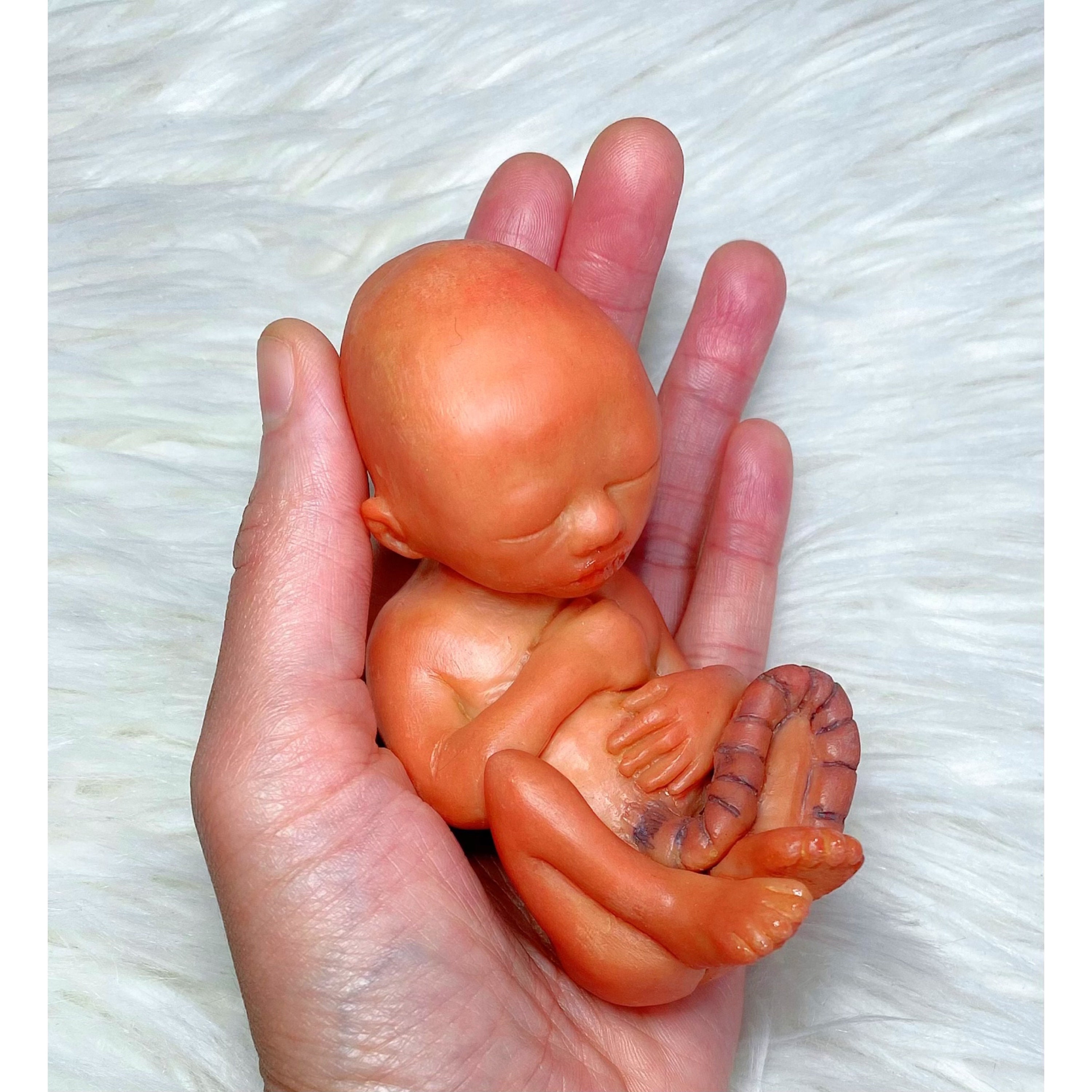 オーダーメイド 妊娠 15 週の胎児、胎児の発育段階 (記念名誉の彫刻 - 赤ちゃんの喪失、流産、記念品)