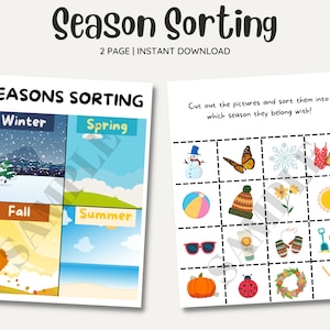 Season Sorting Activity, Sorting Practice, Seasons Printables, Seasons Printable, Preschool Printables, Kindergarden Printables