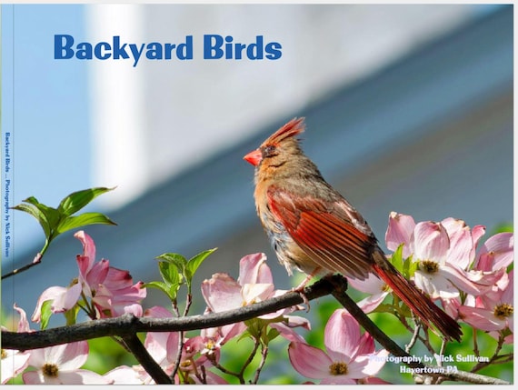 Backyard Birds -- The Book